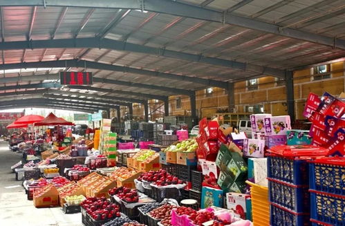 元旦市場供應充足，新鮮水果喜迎佳節