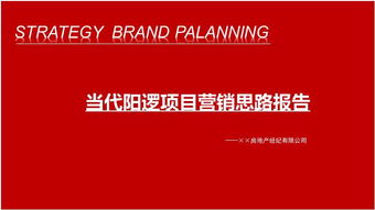 武漢當(dāng)代陽(yáng)邏開發(fā)區(qū)住宅項(xiàng)目營(yíng)銷思路報(bào)告126頁(yè)